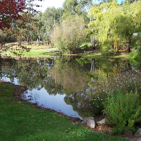 Granite Gardens Cottages & Lake Retreat Stanthorpe Εξωτερικό φωτογραφία