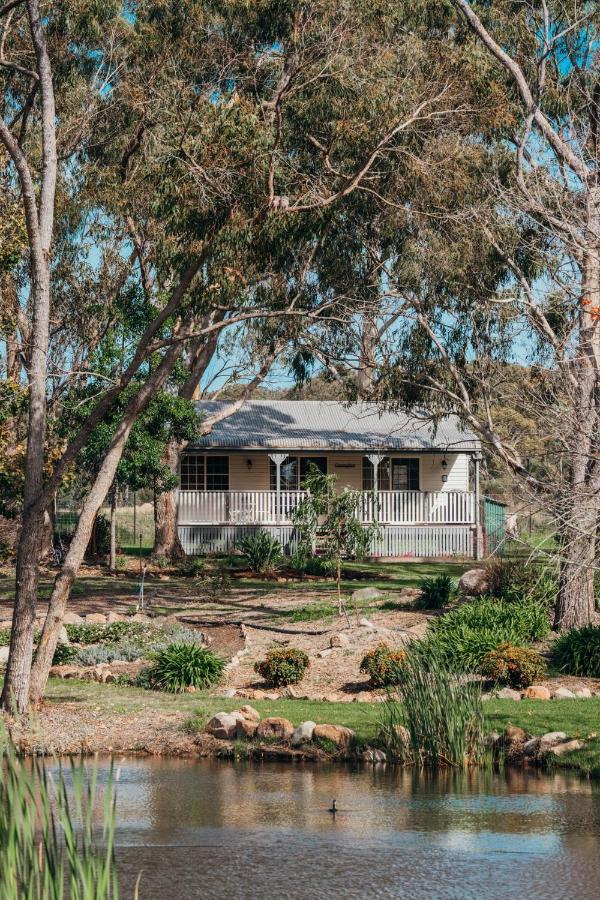 Granite Gardens Cottages & Lake Retreat Stanthorpe Εξωτερικό φωτογραφία