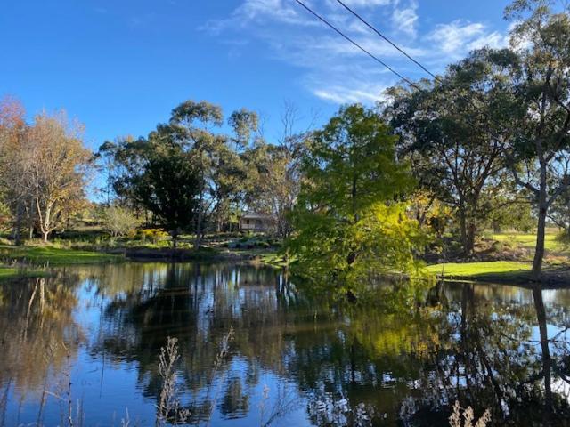 Granite Gardens Cottages & Lake Retreat Stanthorpe Εξωτερικό φωτογραφία