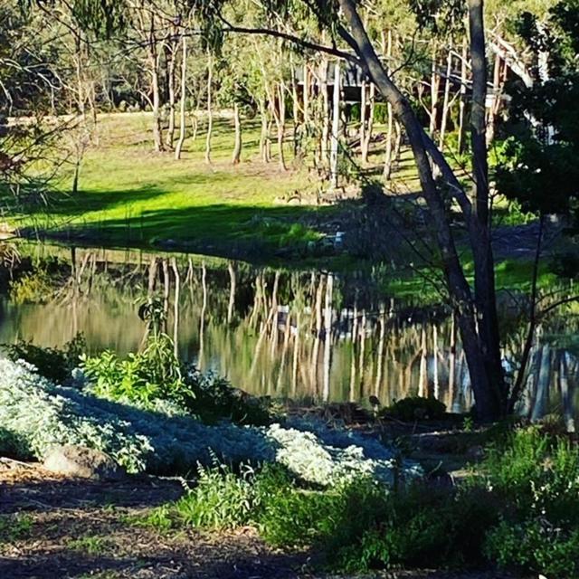 Granite Gardens Cottages & Lake Retreat Stanthorpe Εξωτερικό φωτογραφία