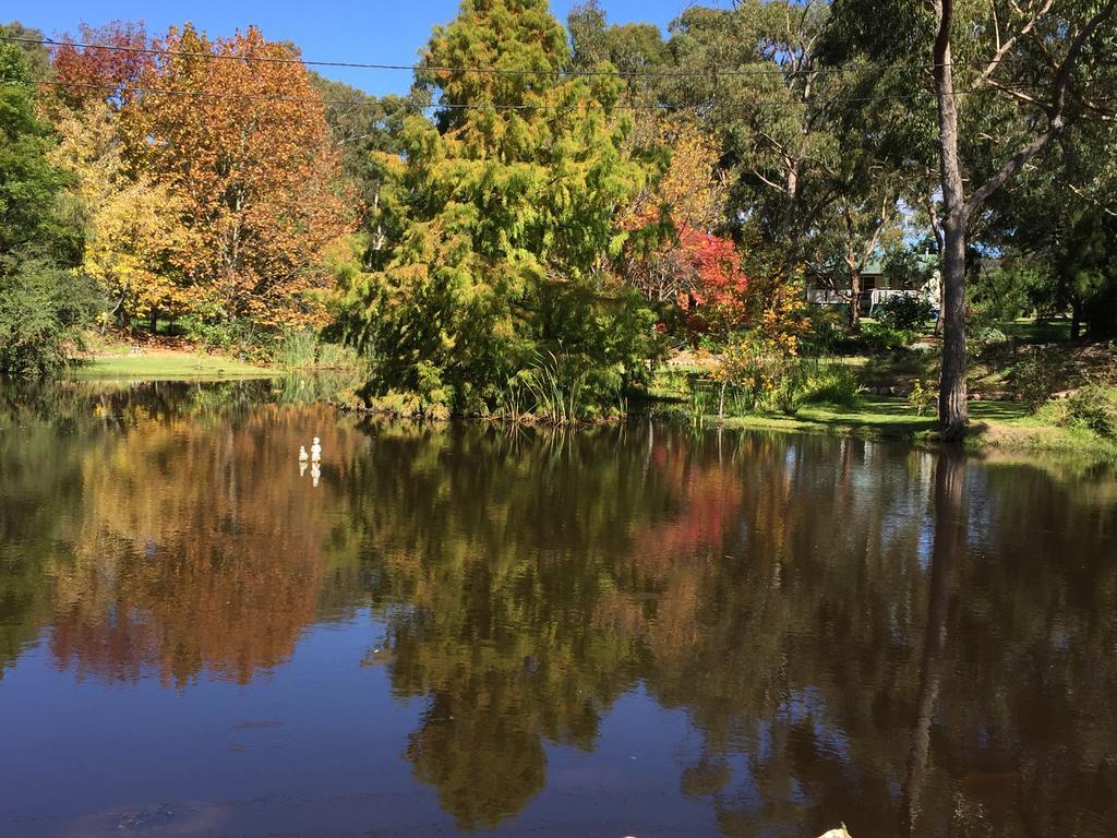 Granite Gardens Cottages & Lake Retreat Stanthorpe Εξωτερικό φωτογραφία