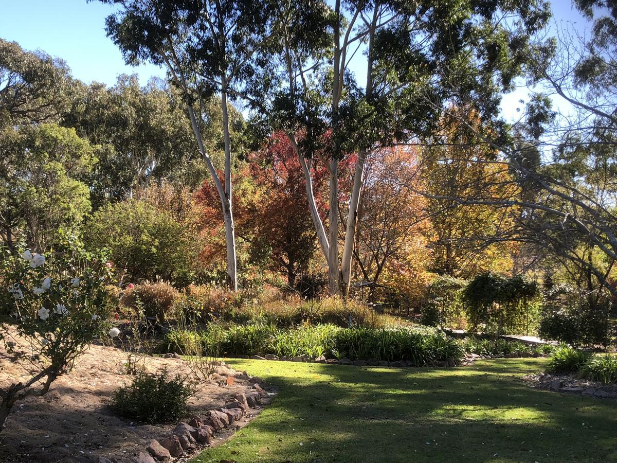 Granite Gardens Cottages & Lake Retreat Stanthorpe Εξωτερικό φωτογραφία