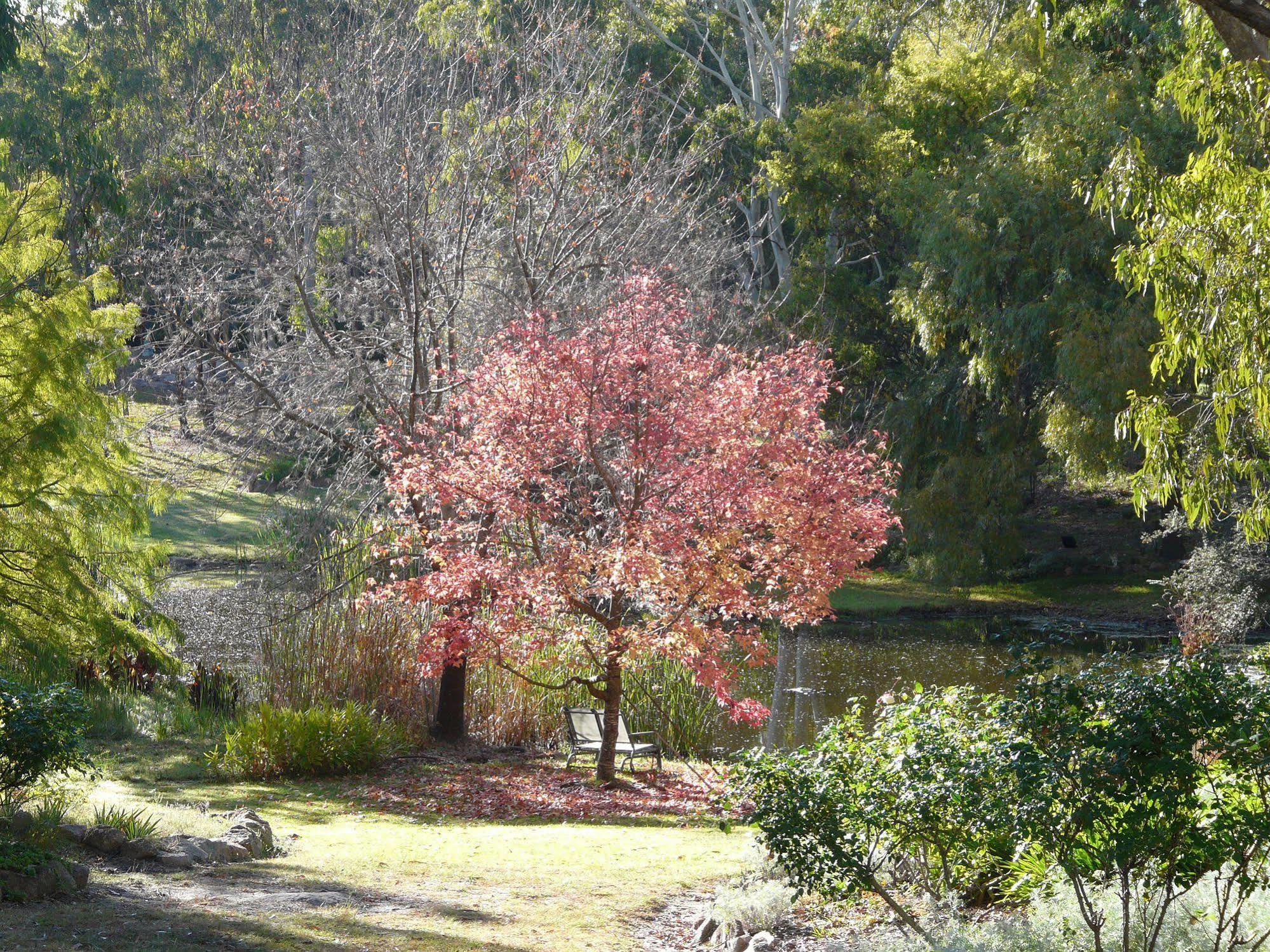 Granite Gardens Cottages & Lake Retreat Stanthorpe Εξωτερικό φωτογραφία